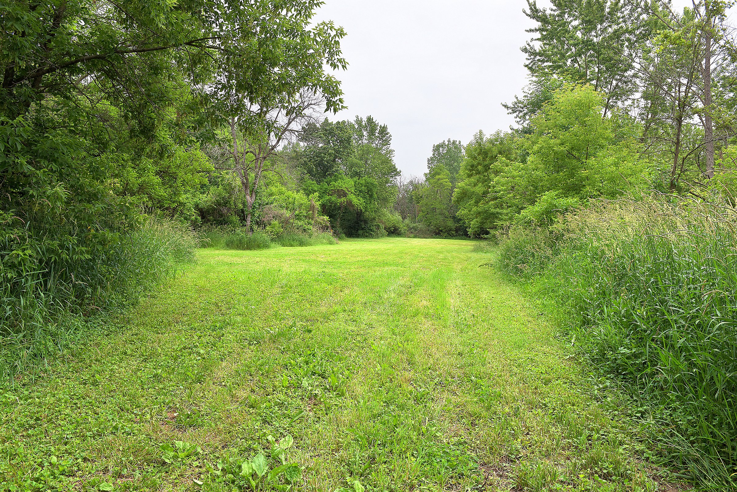 Lake County, Indiana farmland - LAND AUCTION - 147+/- ACRES OFFERED IN 3 TRACTS IN LAKE COUNTY, INDIANA